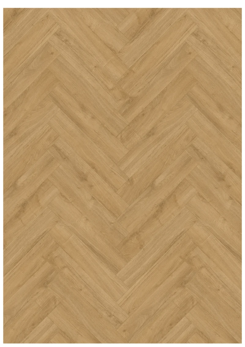 Gelasta Oakland Visgraat 7201