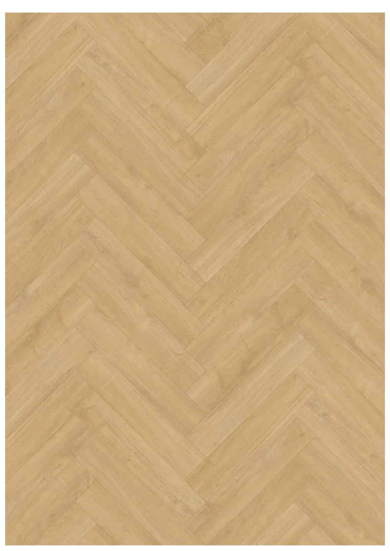 Gelasta Oakland Visgraat 7202