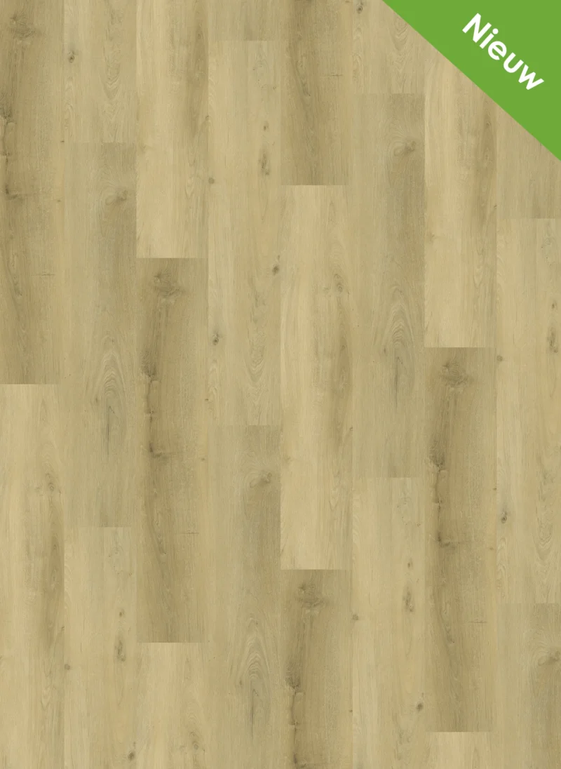 Gelasta Traptreden set PVC 9904