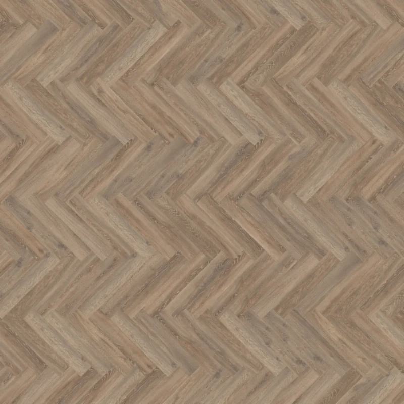 Mflor Parva Oak Calabria