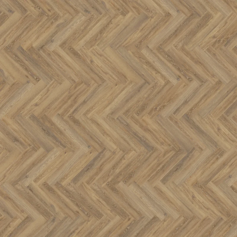 Mflor Parva Oak Apulia