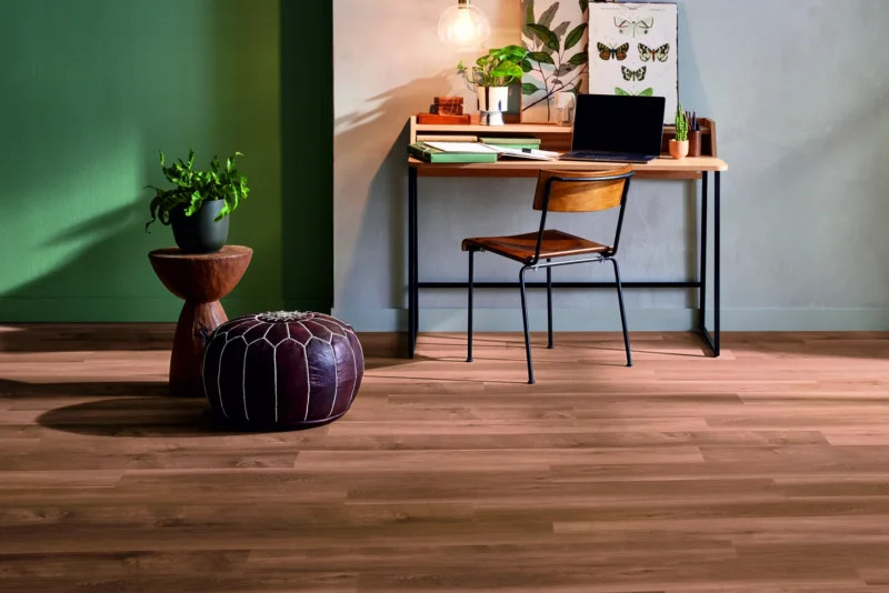 Mflor Broad Leaf Dark Sycamore