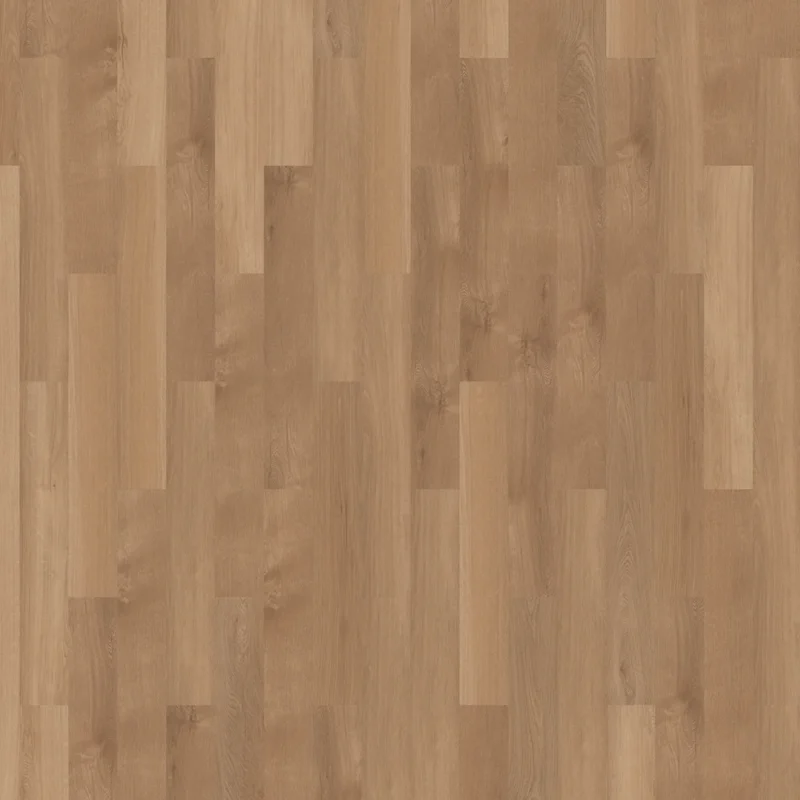 Mflor Broad Leaf Pure Sycamore