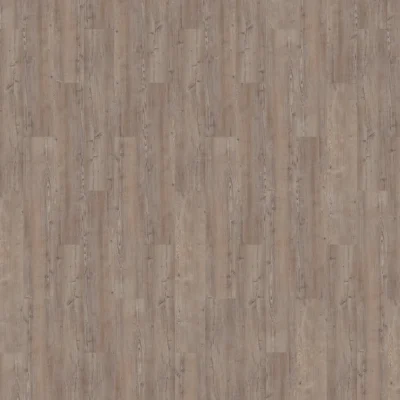 Mflor Argyll Fir Greyfriars