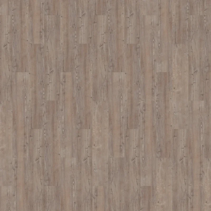 Mflor Argyll Fir Greyfriars