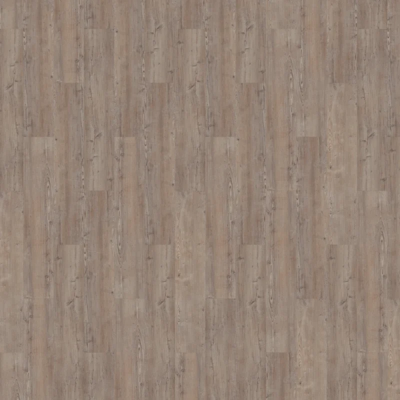 Mflor Argyll Fir Greyfriars