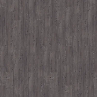 Mflor Argyll Fir Montrose