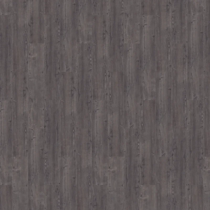 Mflor Argyll Fir Montrose