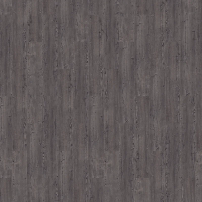 Mflor Argyll Fir Montrose