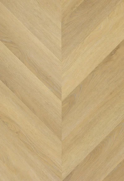 TFD Hungarian Point 1616