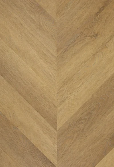 TFD Hungarian Point 1618