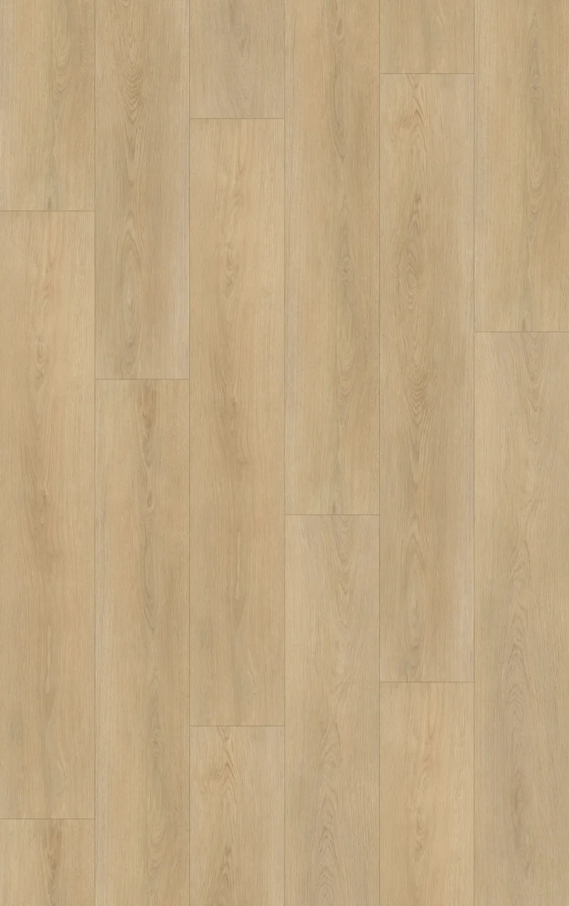 Gelasta Highland 3503 Naturel