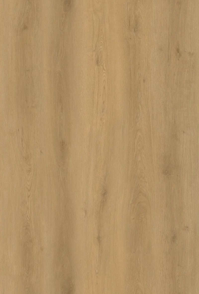 Gelasta Intense 3300 Oak Light